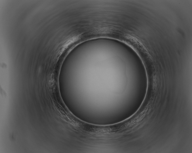 X0000091091210200708060952