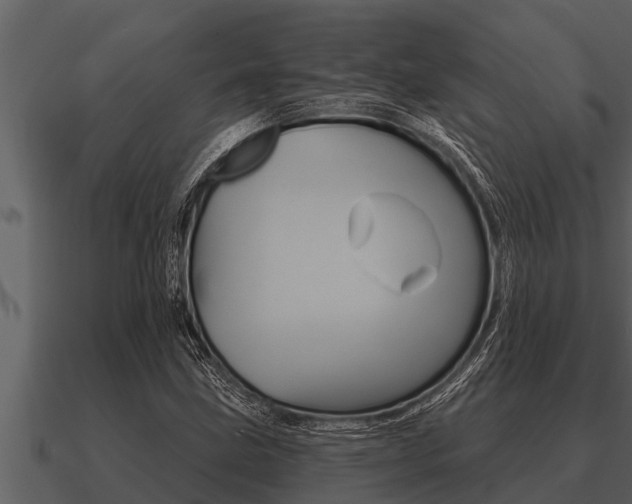 X0000091091211200708060952