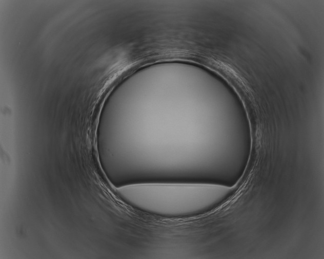 X0000091091212200708060952
