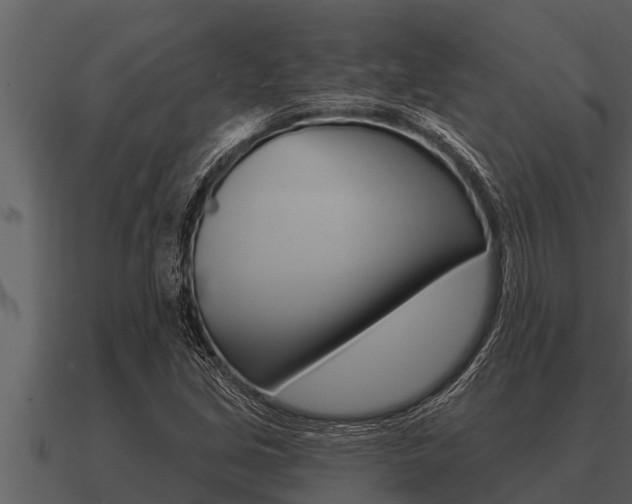 X0000091091213200708060952