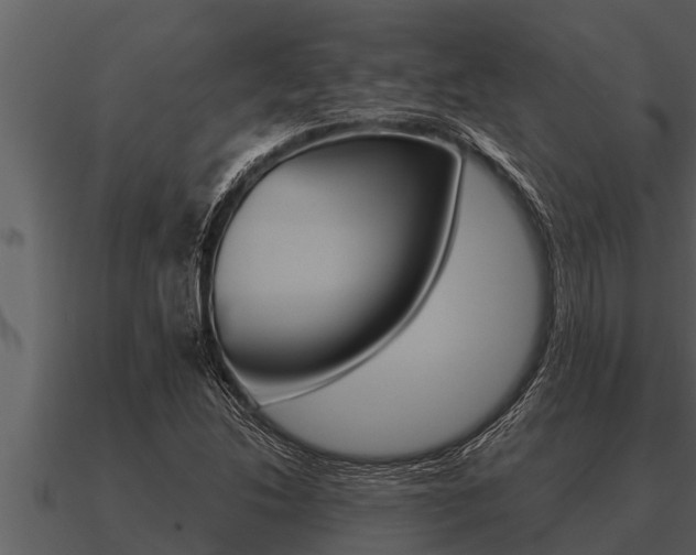X0000091091214200708060952
