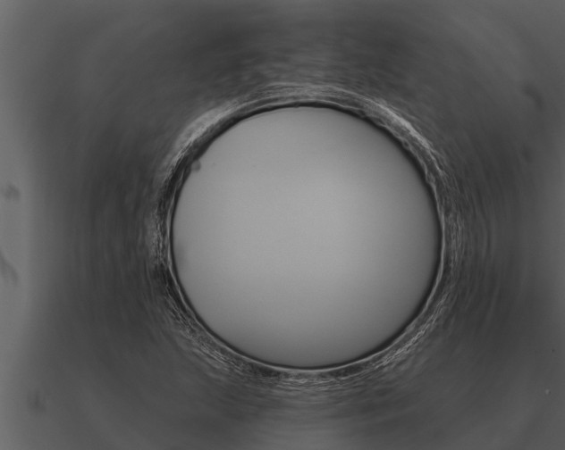 X0000091091215200708060952