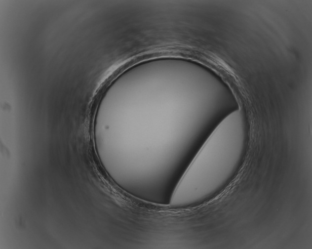 X0000091091216200708060952