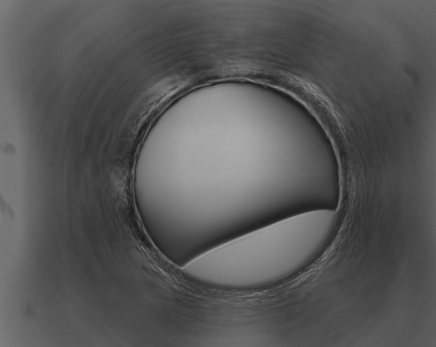 X0000091091217200708060952