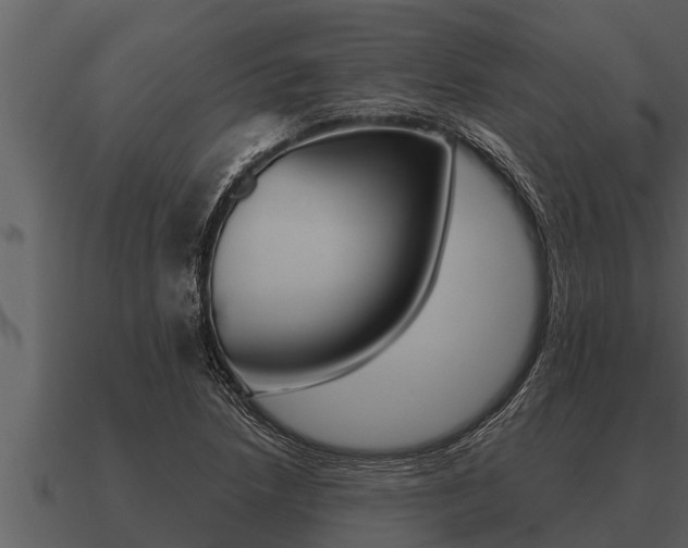 X0000091091218200708060952