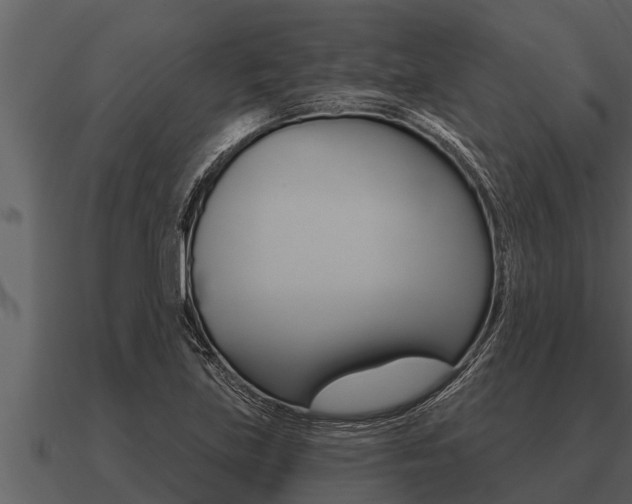 X0000091091219200708060952