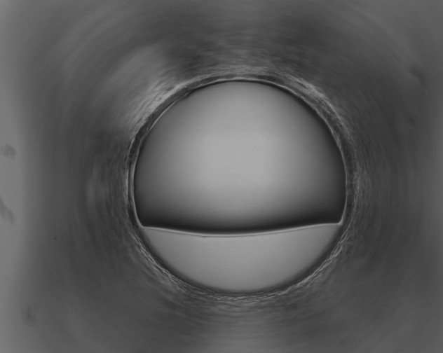 X0000091091220200708060952