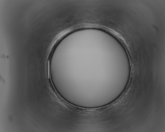 X0000091091223200708060952