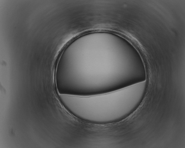 X0000091091224200708060952