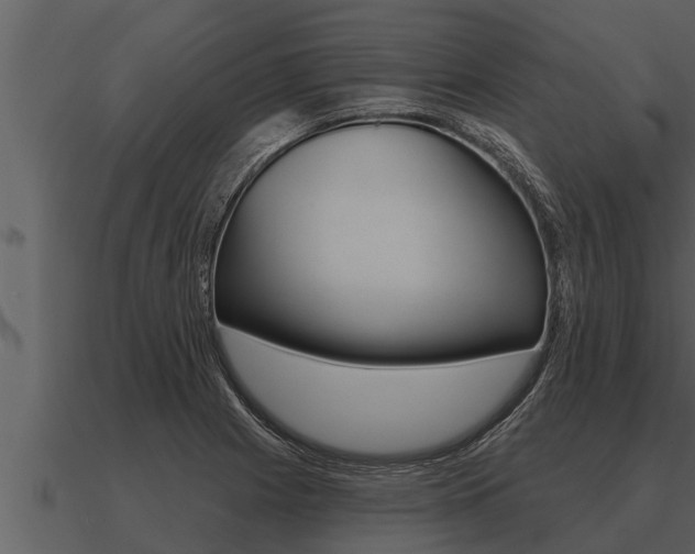 X0000091091225200708060952