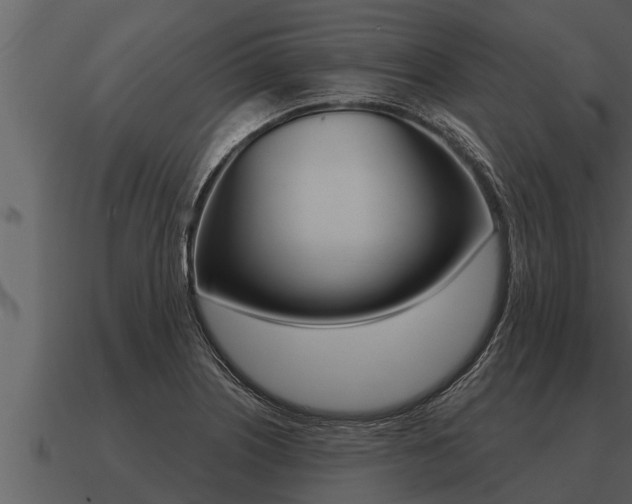 X0000091091226200708060952