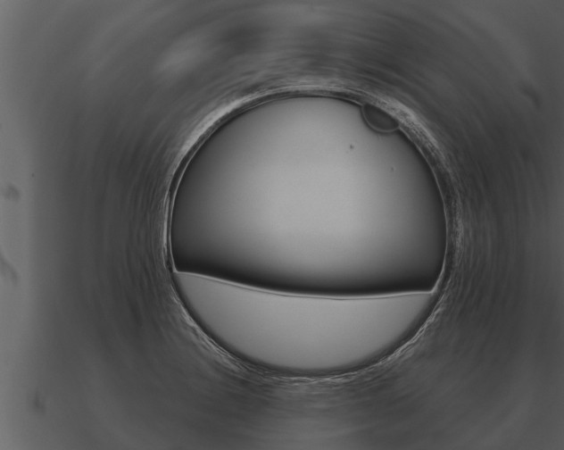 X0000091091228200708060952