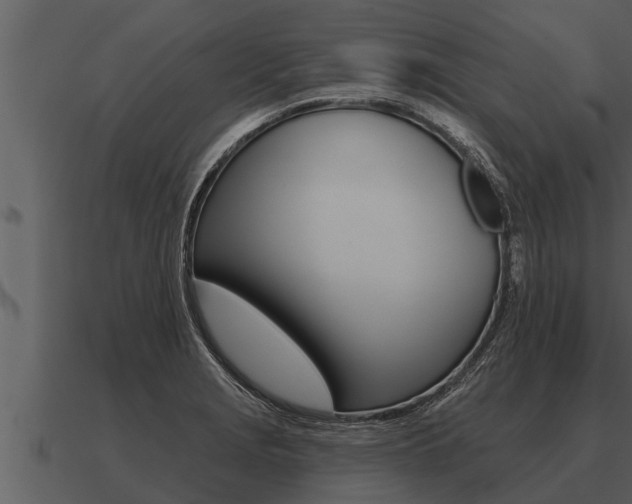 X0000091091229200708060952