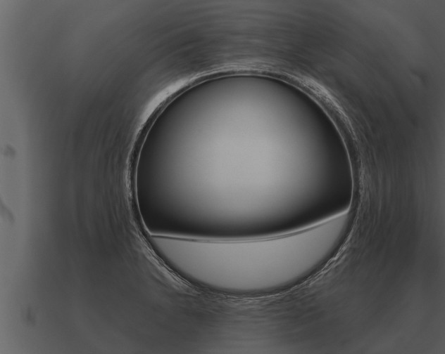 X0000091091230200708060952