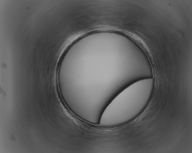 X0000091091231200708060952