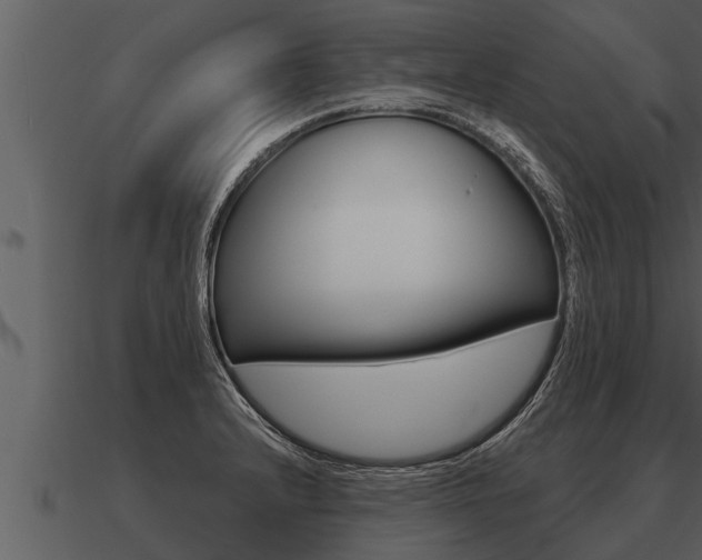 X0000091091232200708060952