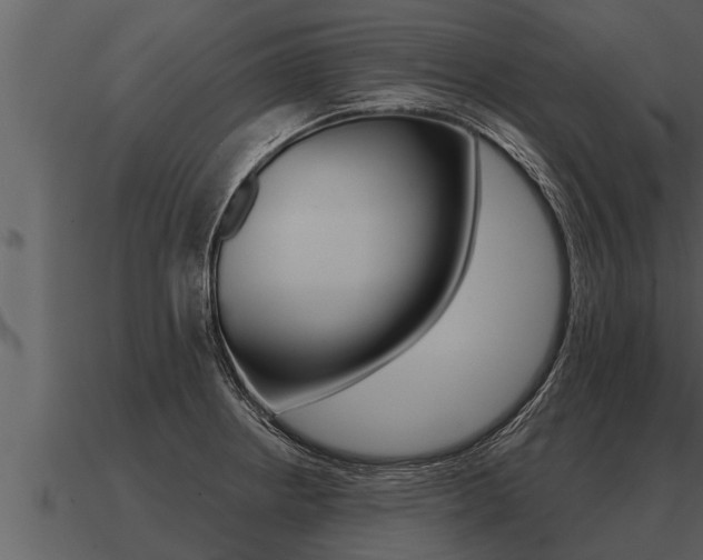 X0000091091234200708060952