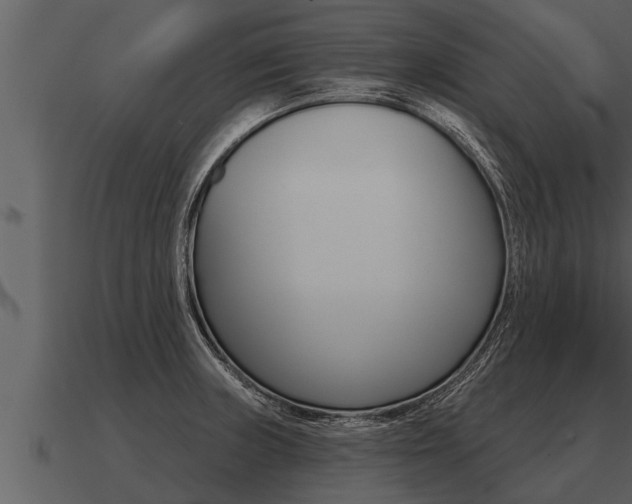X0000091091235200708060952
