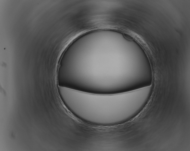 X0000091091236200708060952