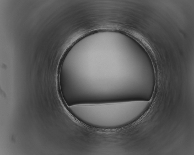 X0000091091237200708060952