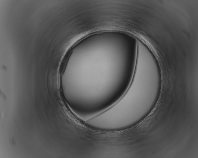 X0000091091238200708060952