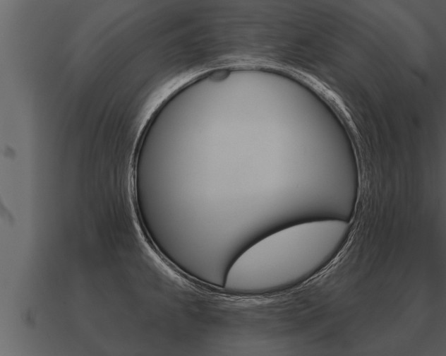 X0000091091239200708060952