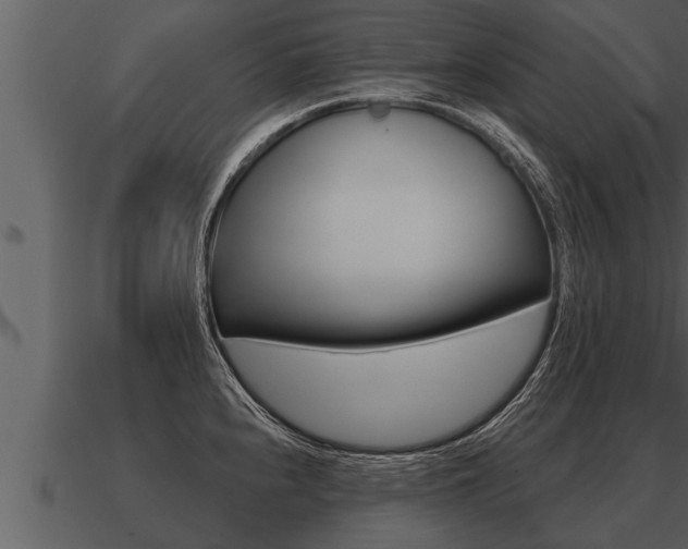X0000091091240200708060952