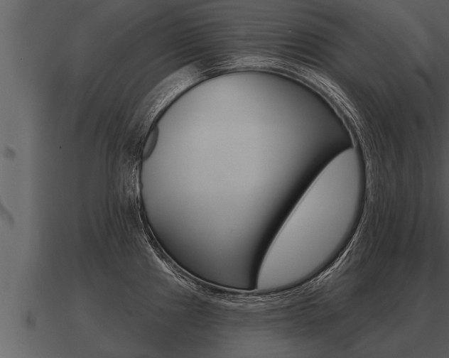 X0000091091241200708060952