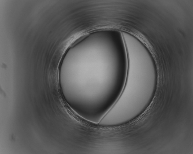X0000091091242200708060952