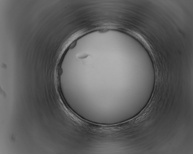 X0000091091243200708060952