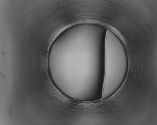 X0000091091244200708060952