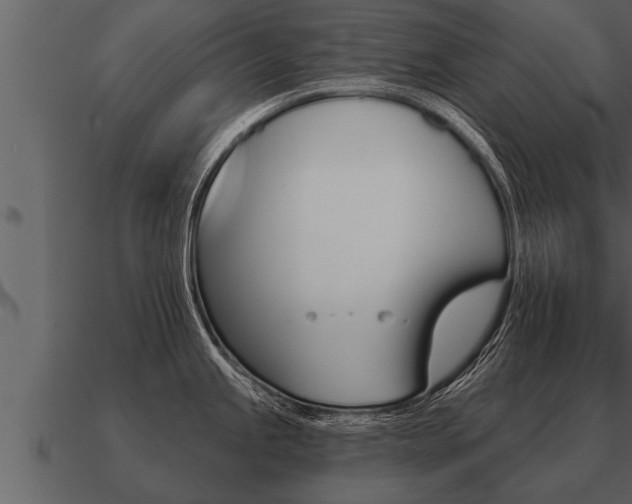 X0000091091245200708060952
