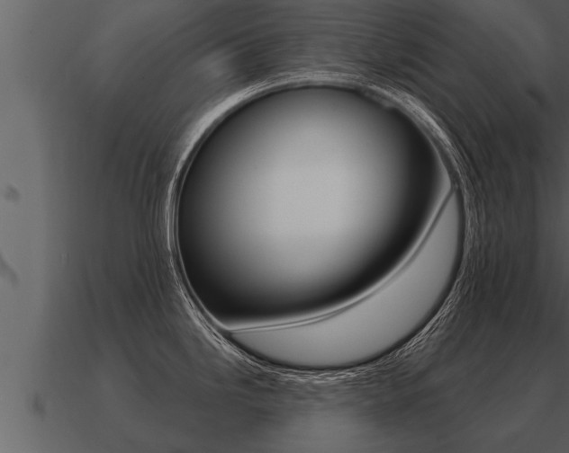X0000091091246200708060952