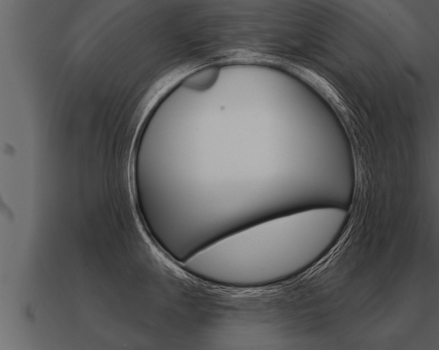 X0000091091247200708060952
