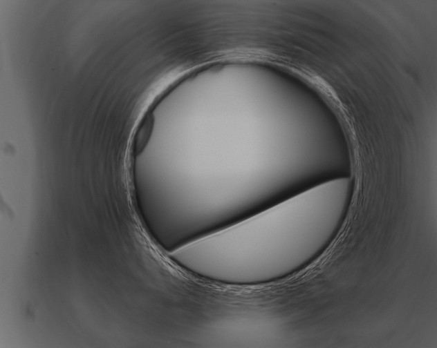 X0000091091248200708060952