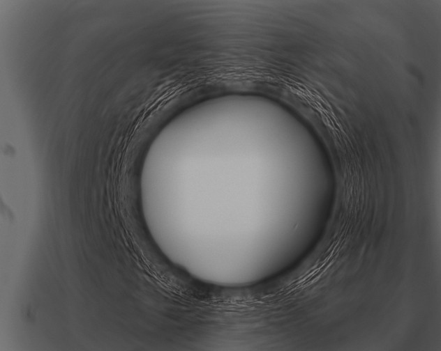 X0000091091249200708060951