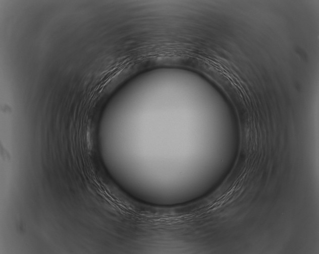X0000091091250200708060951