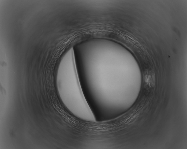 X0000091091252200708060951