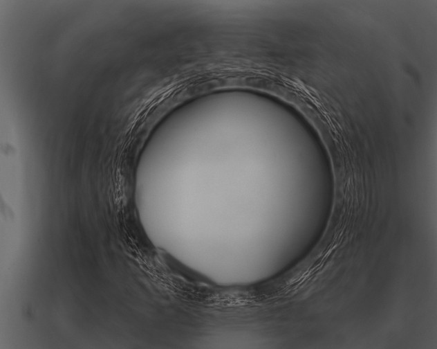 X0000091091253200708060951