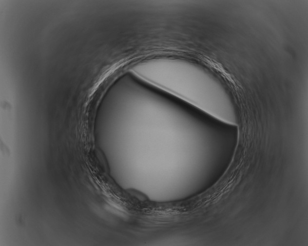 X0000091091256200708060951