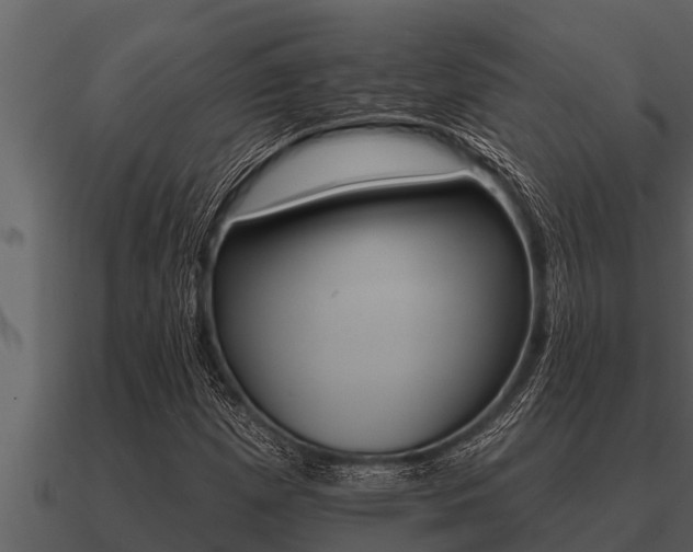 X0000091091257200708060951