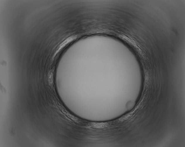 X0000091091258200708060951