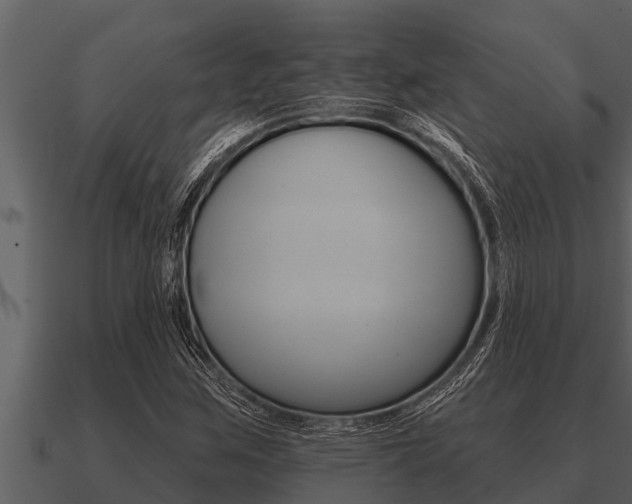 X0000091091259200708060951