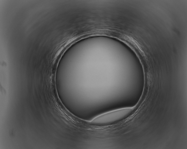 X0000091091260200708060951