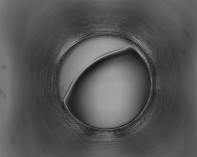 X0000091091261200708060951