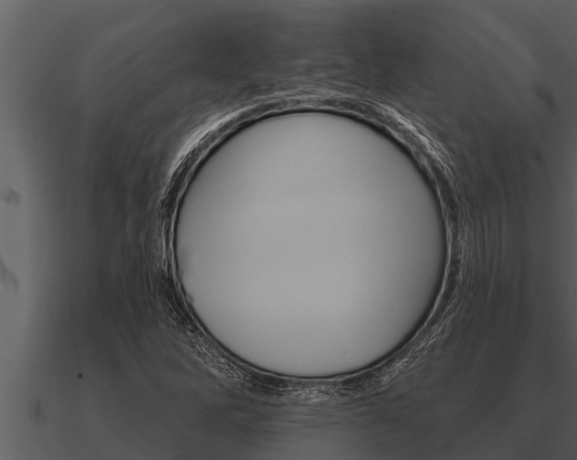 X0000091091262200708060951