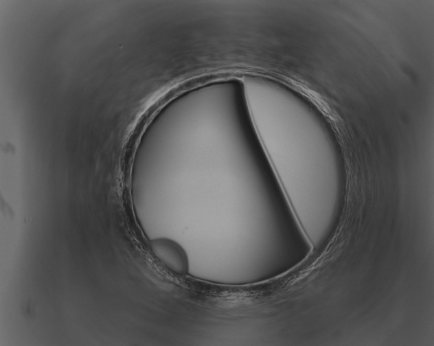 X0000091091264200708060951