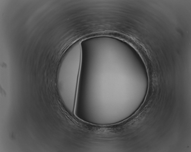 X0000091091265200708060951