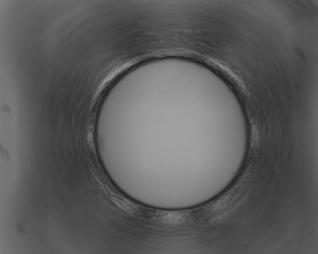 X0000091091266200708060951