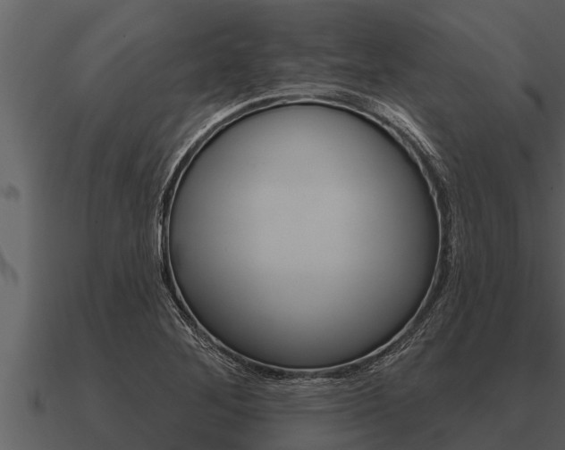 X0000091091268200708060951